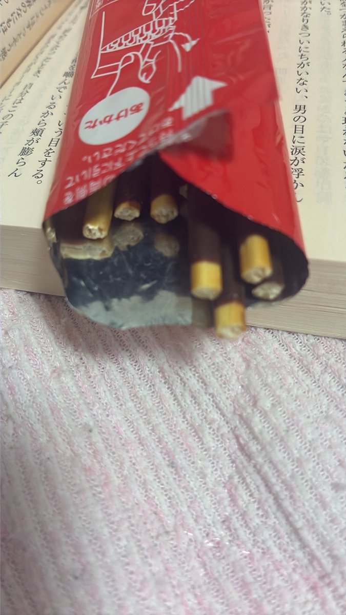 lazuli_ri's tweet photo. メッッッチャお腹すいたけど今の時間に食べるのはやばいから足掻きとして持ち手だけ食べてる https://t.co/QellhYYJPp