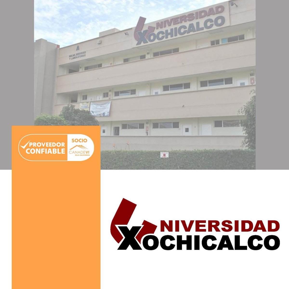 CanadeviBCN's tweet photo. ✅ Confía en la Universidad Xochicalco 🎓 una institución educativa con más de 50 años de experiencia formando profesionales comprometidos. 📘✨💼🧠

Destaca por su innovación, programas acreditados y formación integral para impulsar el crecimiento de cada estudiante. 🚀📚 https://t.co/RwWoq6XUZQ