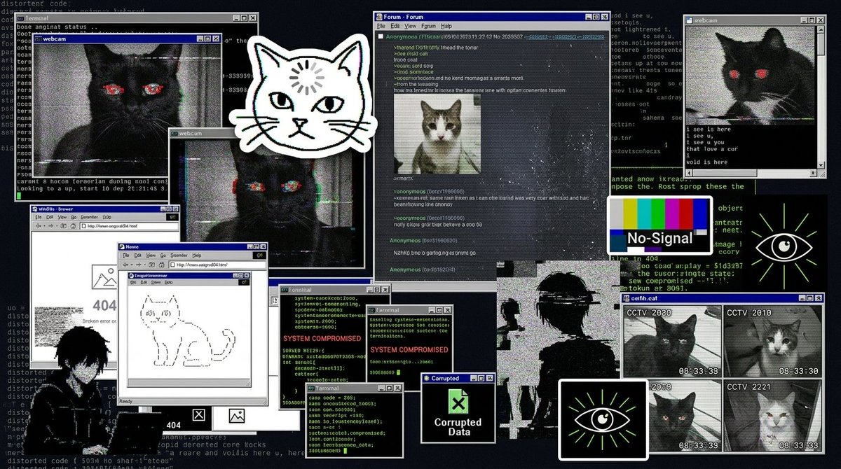 RAILGUN_Project's tweet photo. ZK privacy on Ethereum, BSC, Polygon, Arbitrum, and Base. Private stables, ERC-20s, swaps, and DeFi.  

Gmeow. https://t.co/DOMepVV6Cj