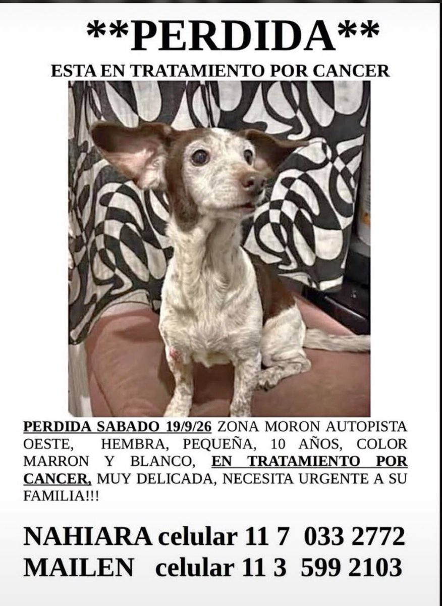 lalocacocolina's tweet photo. Le damos una patita ? https://t.co/McCqHFsEfI