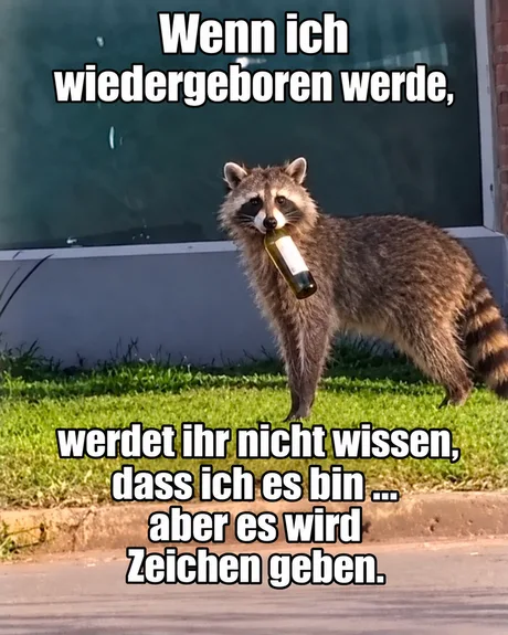 StaSiRevival's tweet photo. #Meme #Wiedergeburt #Alkohol https://t.co/fXrZlvE4Ia