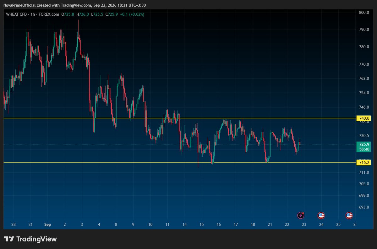 RealNovaPrime's tweet photo. 📊 #Wheat: 1H range, waiting for breakout

Wheat in a clean 1H range. A breakout in either direction opens an entry.

Note: given the prior #uptrend, a #long is more logical. Wait for the range to break.

Which side are you watching? 👇 https://t.co/NxhIoGFAtC