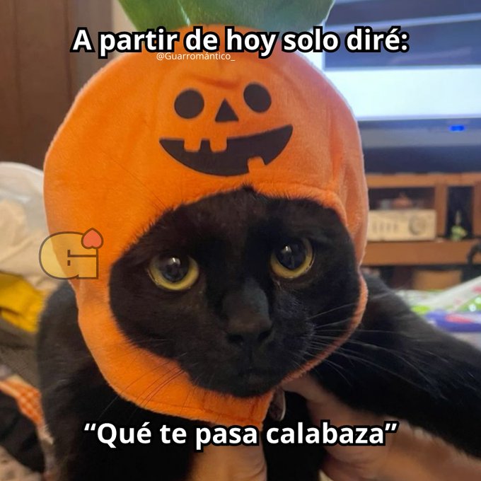 lorenagutie392's tweet photo. https://t.co/HHJCvnZtCT
