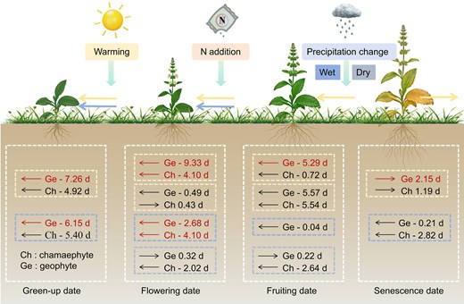 JPlantEcol's tweet photo. 【🎉Latest accepted article】
#Lifehistory and #bud_position strategies shape stage-specific phenological responses to #globalchange in grasslands
#grasslandphenology | #environmentalgradients | #meta_analysis
@MaximumAcademic
https://t.co/pmxjiwuH7K https://t.co/8TBJUR15Zr