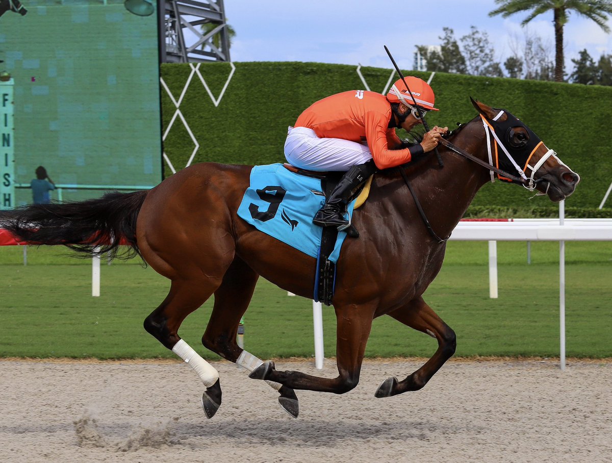 JFDAngelo's tweet photo. Titans Edge • Leonel Reyes • Jose Francisco D’Angelo

#GulfstreamPark | #SunshineMeet | #HorseRacing https://t.co/CFVruSz5Df