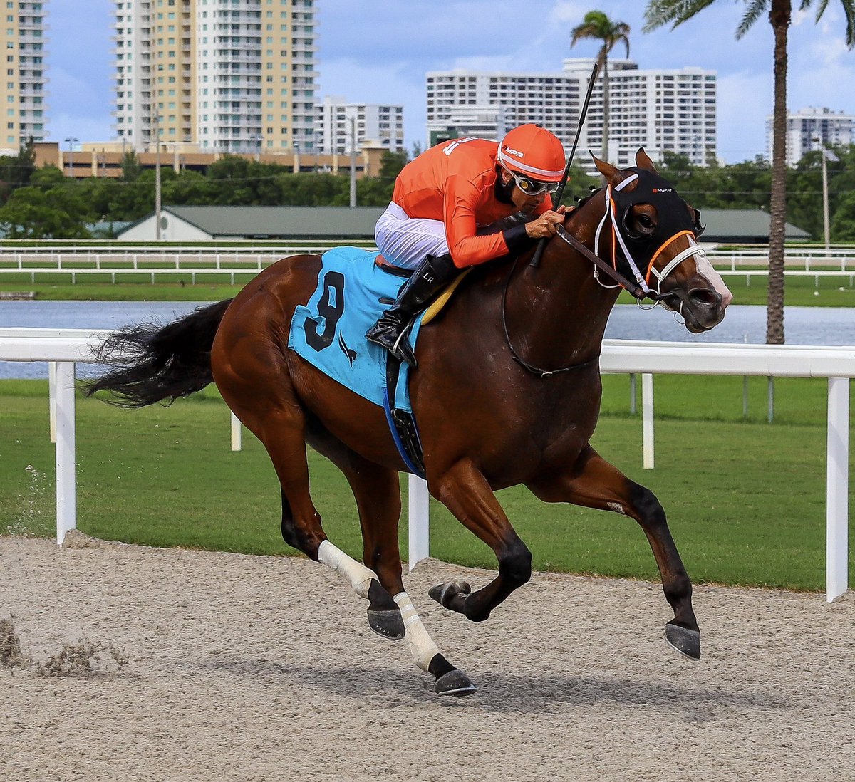 JFDAngelo's tweet photo. Titans Edge • Leonel Reyes • Jose Francisco D’Angelo

#GulfstreamPark | #SunshineMeet | #HorseRacing https://t.co/CFVruSz5Df