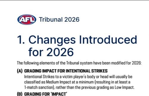 danieljh001's tweet photo. @timrosen35 He hasn’t been the only victim of this rule change this year sadly. Does it suck he has to miss a GF for it? Yes. But sadly the AFL must stick firm on it, Brisbane should still appeal though https://t.co/YGbzEI7RTY