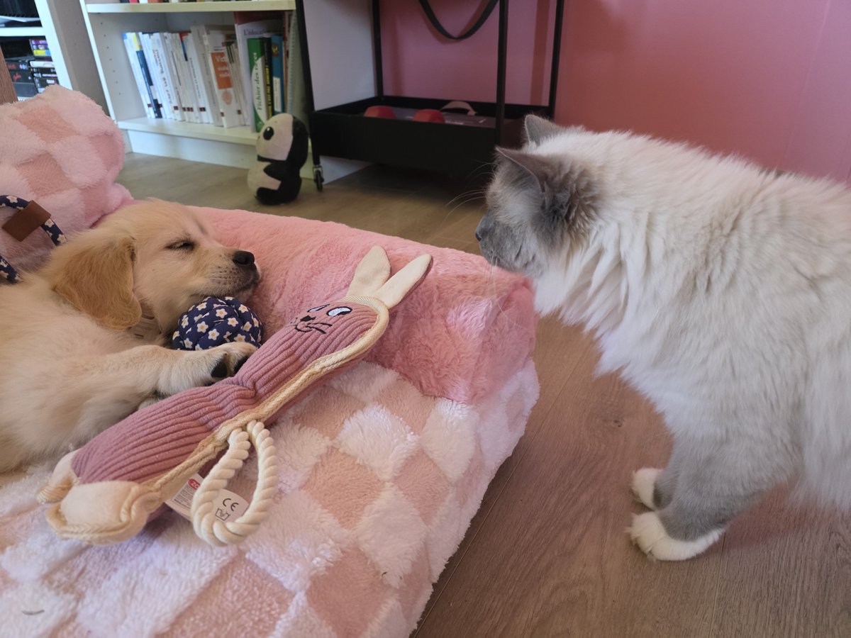 RedRidingLupa's tweet photo. I can tell that we are gonna be friends 💗 https://t.co/Ygv8d5BuzJ