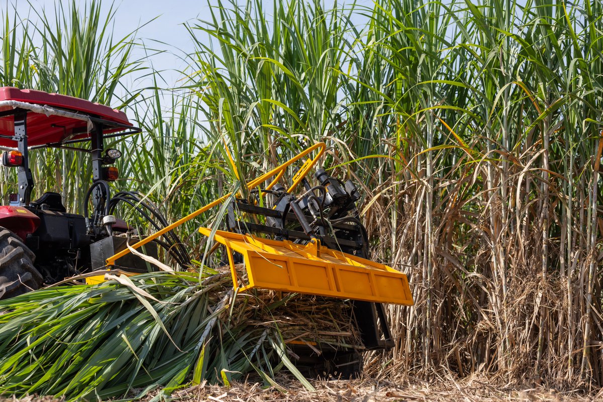 sugaronline's tweet photo. #SUGAR NEWS #EUROPE: Beet growers call for sugar to be fully excluded from EU 🇪🇺-Thailand 🇹🇭 free trade deal.

Join us today to read the full story: https://t.co/gL1q3b1GjQ

#commoditiestrading #softcommodities #sugarindustry #sugarbeet #sugarcane https://t.co/IV8JwjXUBR