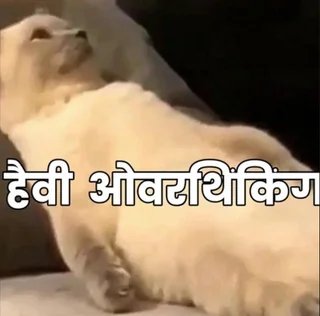mainhunkaun_'s tweet photo. plastic surgery wala module padha abhi par flap ka concept nahi samajh aaya bilkul https://t.co/EwqK6T1cKs