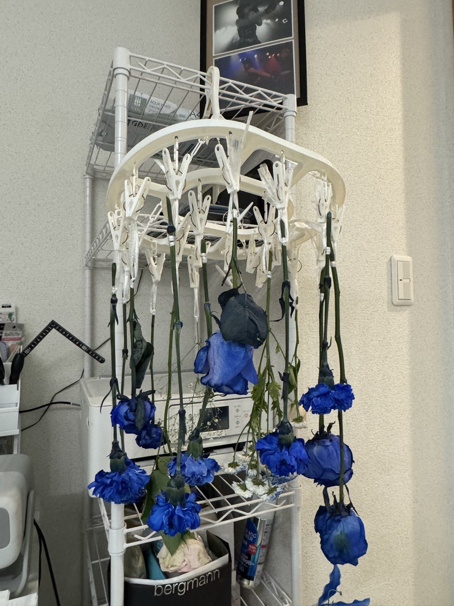 6174_HARUNE's tweet photo. 部屋がフラスタやプレゼントのお花で溢れてて幸せすぎる。💙

初めてドライフラワーに挑戦！

#6174
#ロクイチナナヨン
#HARUNE
#卒業 #フラスタ https://t.co/UBlge6NWgY