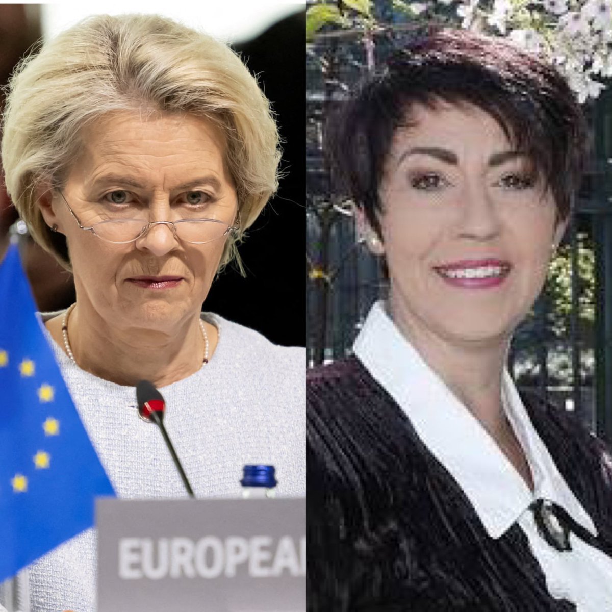MelGibsonxvyv's tweet photo. MEP Christine Anderson states that Ursula Von Der Leyen should be in prison…

“She has to be put in front of a jury, and, as far as I am concerned, should be locked up for a very long time for all the evil that she has brought on the citizens” https://t.co/I5AqmBuQwO