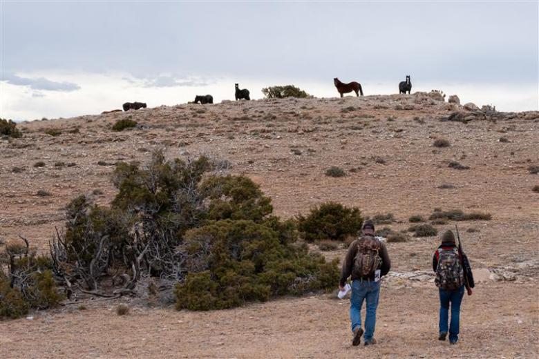Two people walk across a dry, rocky landscape toward a ridge where several wild horses stand against a cloudy sky.