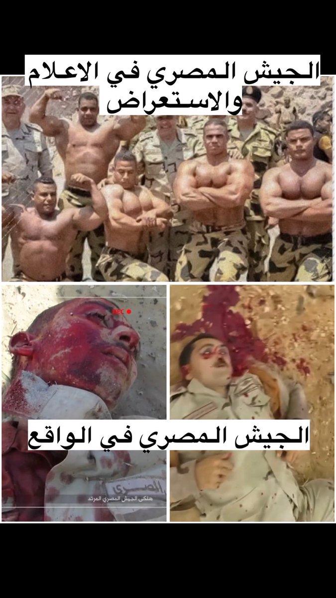 wcssf's tweet photo. @EGYOSINT All these battle clips are old, dating back to the storming of Al-Mukha and the West Coast battles  there is nothing new. A puppet like you dares not analyze with neutrality. At least look at the state of your defeated army in the Sinai desert 😭😭 https://t.co/2e5DzaJwp1