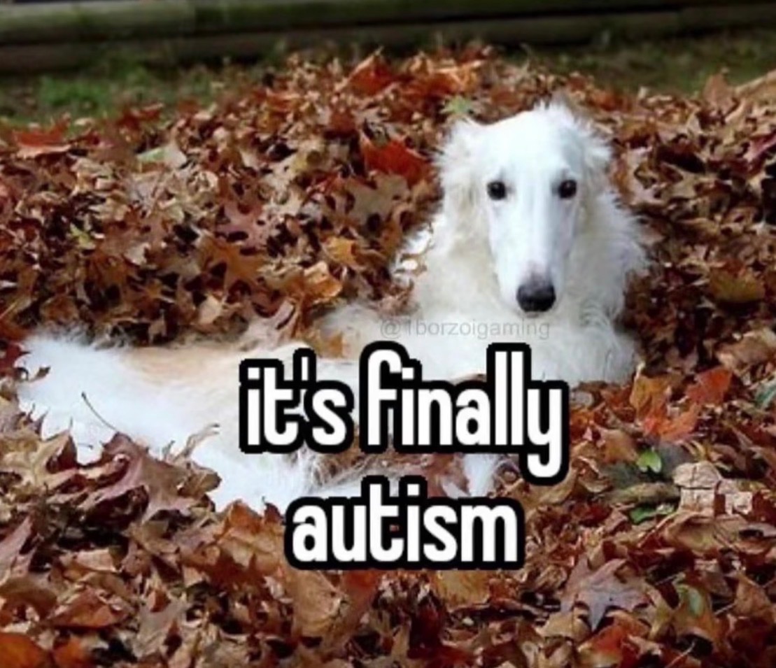 wwxwashere's tweet photo. happy autism 🍂 https://t.co/oxTd72q80X