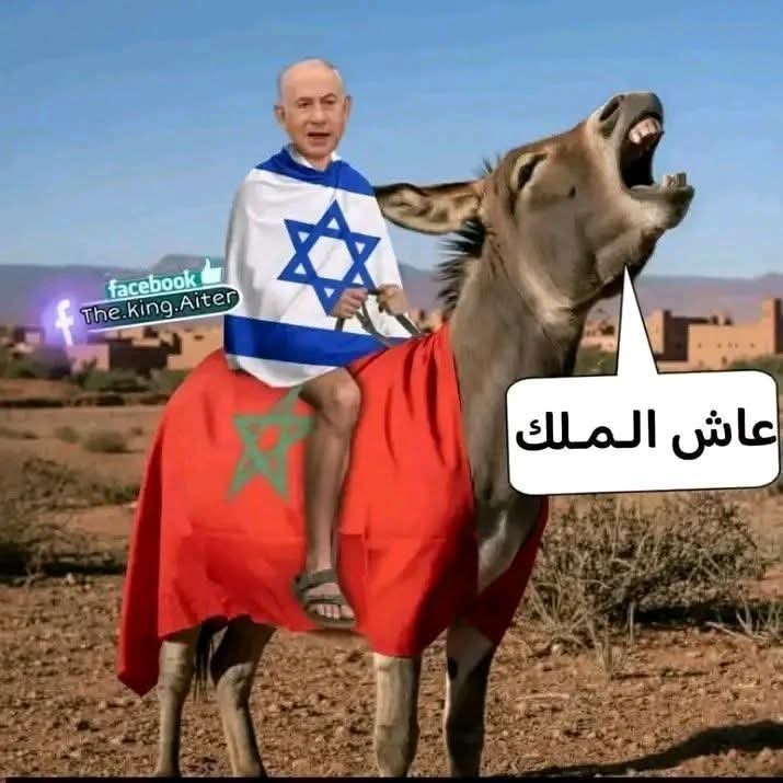 FayalMOSBAov94's tweet photo. @KoubaReda و العياشي بوثقبة البابوني 🐒🇲🇦، راه مع عاش المنييك.

😂😂😂 https://t.co/H2pLghW4Qu