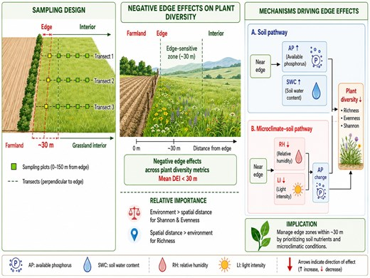 JPlantEcol's tweet photo. 【🎉Latest accepted article】
#Edgeeffects reduce #plantdiversity through #cascadingeffects on microclimate and soil properties
#habitatfragmentation | #magnitudeofedgeinfluence (MEI) | #distanceofedgeinfluence (DEI)
@MaximumAcademic
https://t.co/RId8wvu7Uw https://t.co/CRCsHL88cA