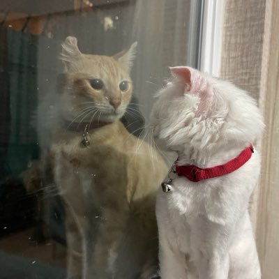 seddoemine's tweet photo. #YeniProfilResmi https://t.co/E9Zd4S4McZ