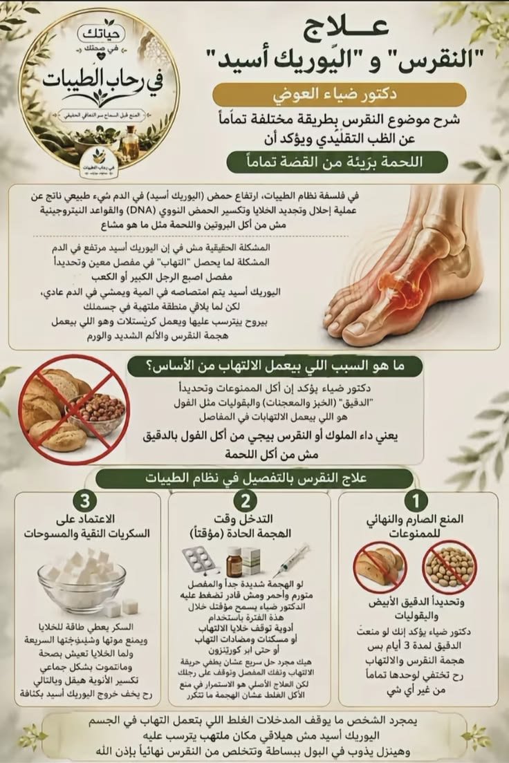 Tlqi8lpps9pgFPc's tweet photo. 📌 النقرس ــ  واليوريك أسيد ⁉️ https://t.co/uP4rhTfRQw