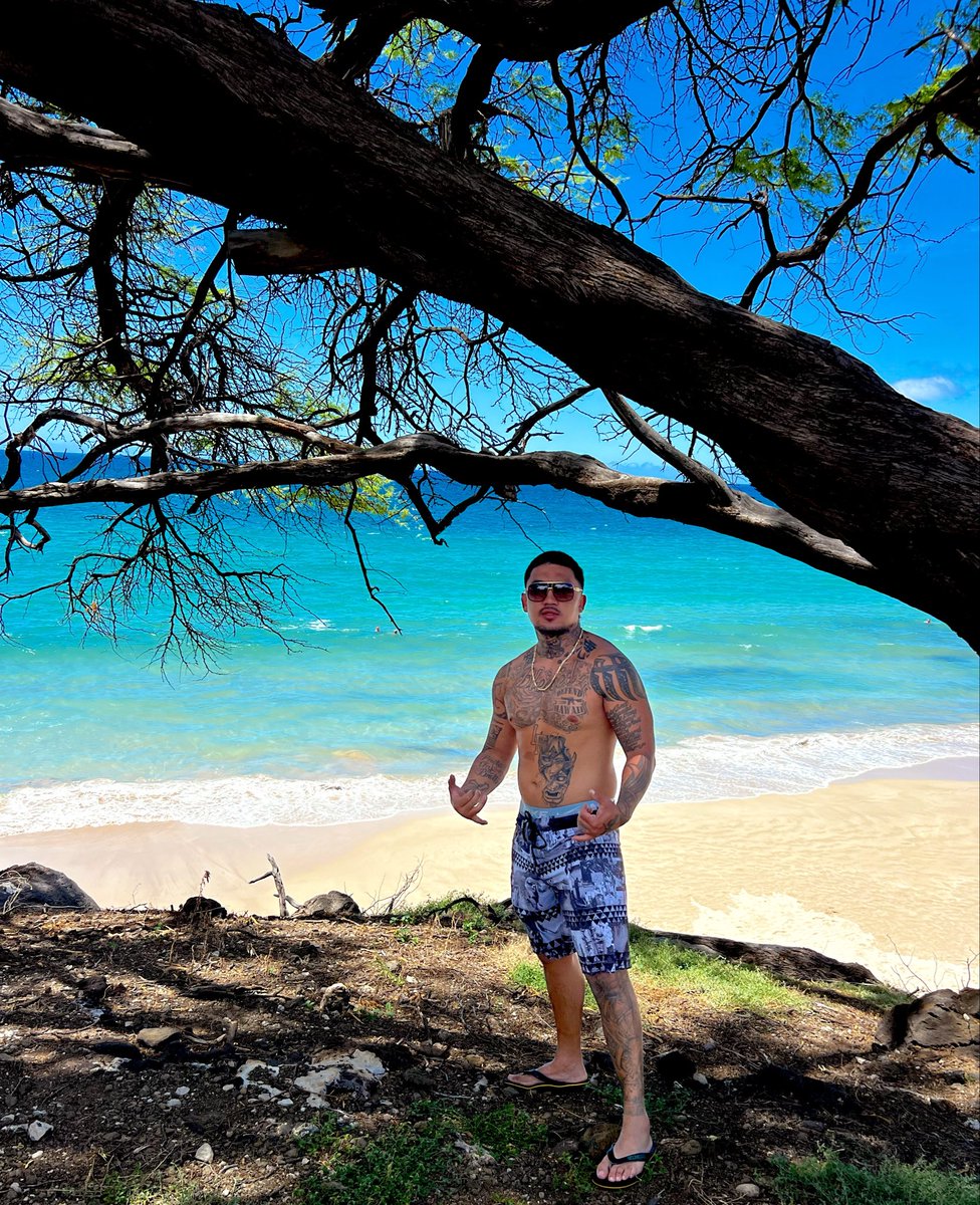 sertorius00's tweet photo. #Hawaii https://t.co/Bs8qlueSZo