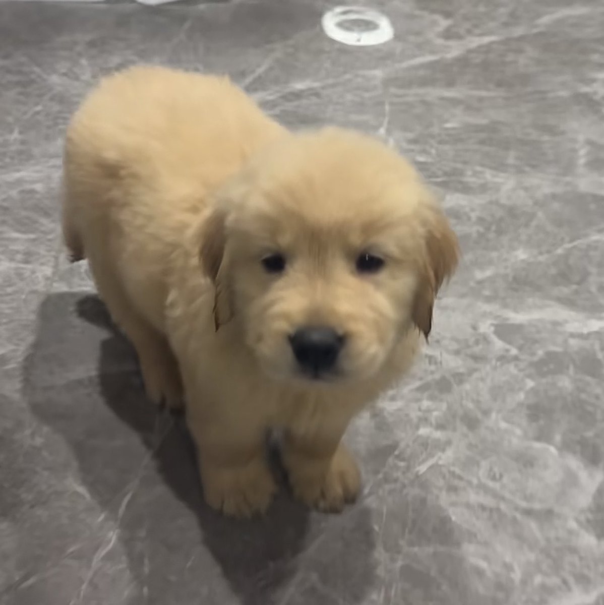 takemybear's tweet photo. เค้าจาไปนอนแล่ว
เทอลืมอะไรนึป่าว                                                 จุ๊บ https://t.co/SFXuJ0aUTK