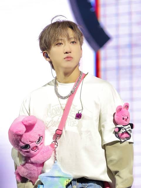 PonyzinhaM's tweet photo. Nesse perfil aqui o Changbin vai ser amado, idolatrado e protegido EU AMO MEU HOMEM 🐷🩷 https://t.co/wfcAxOlva4