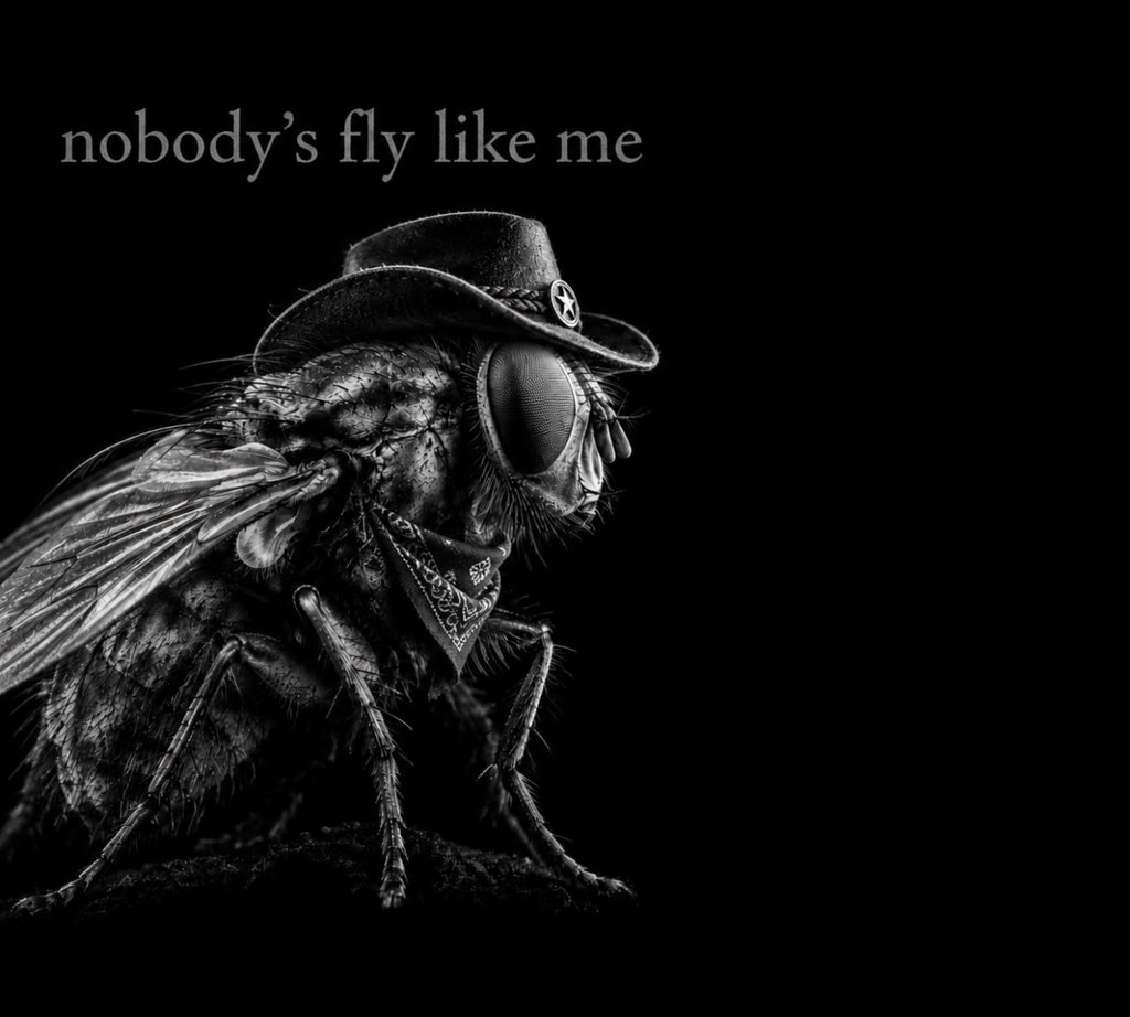 googleflysol's tweet photo. Ain’t nobody fly like me 😎 https://t.co/ScdBN75aBy