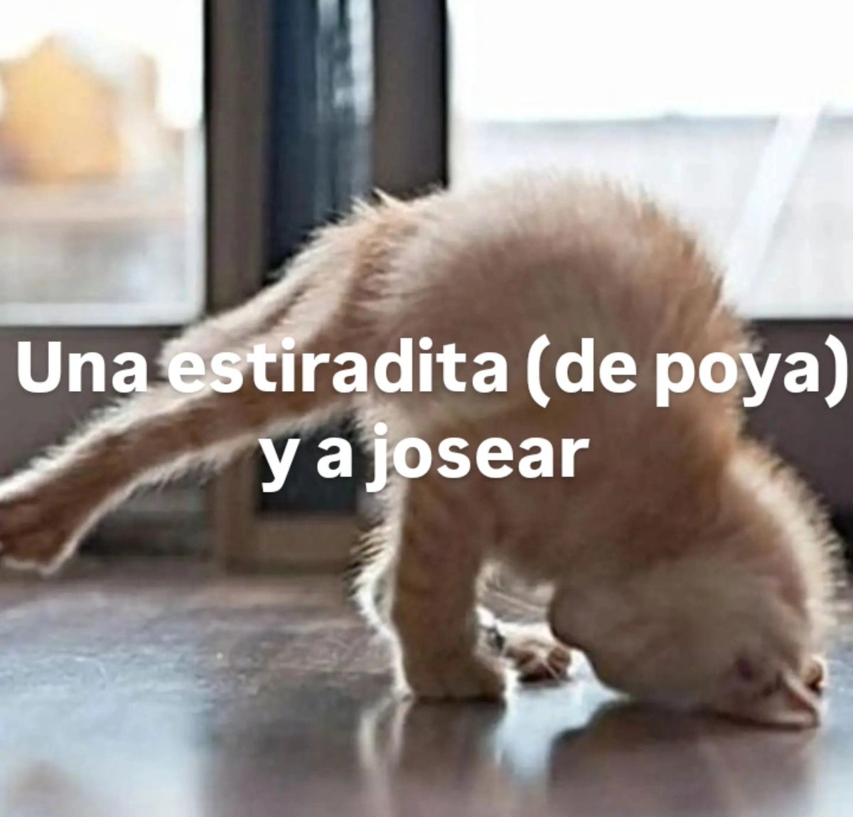Mapaxitouwu's tweet photo. vamo allá 👍 https://t.co/Fop8PQBea4