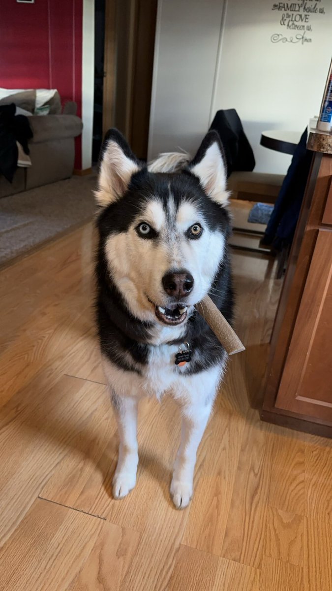 DustinJarrett's tweet photo. Hard to believe, but this goober turns 6 years old today. HAPPY BIRTHDAY DAKOTA!! https://t.co/95lJyIeSAZ
