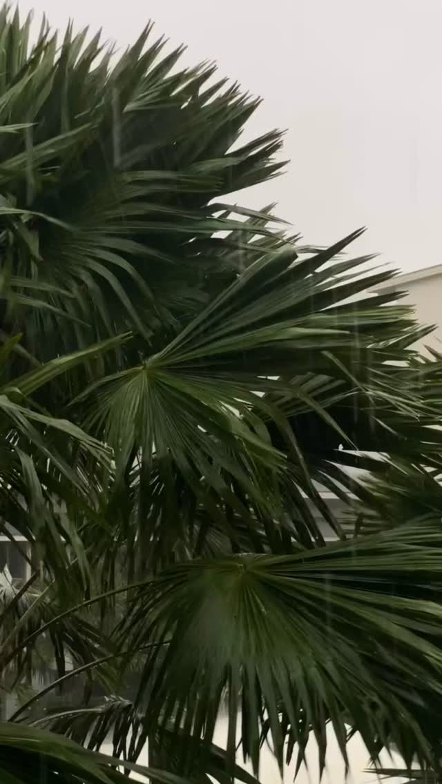LunaReedxy's tweet photo. But when he got back, he was surprised to see that many of the students who were there when he dropped off his coat and hat had left. https://t.co/8EXXIvu3q7