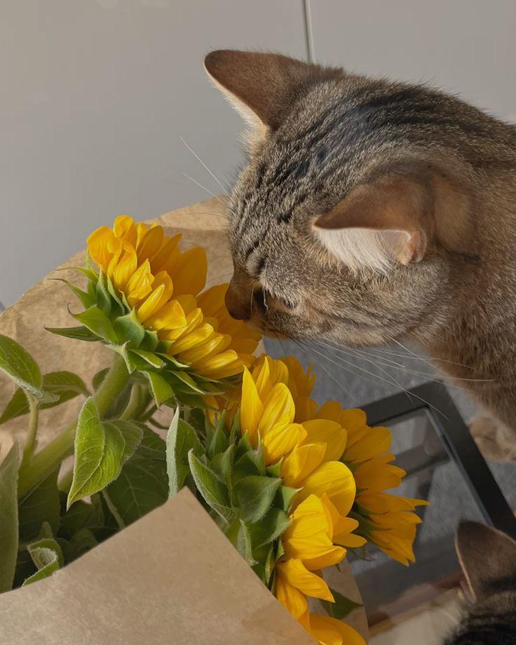 TheBiotaDiary's tweet photo. Curious little ones and sunflower ˚‧｡⋆🌻⋆｡‧˚

#sunflower #flower #diary https://t.co/KXmtHHcBby
