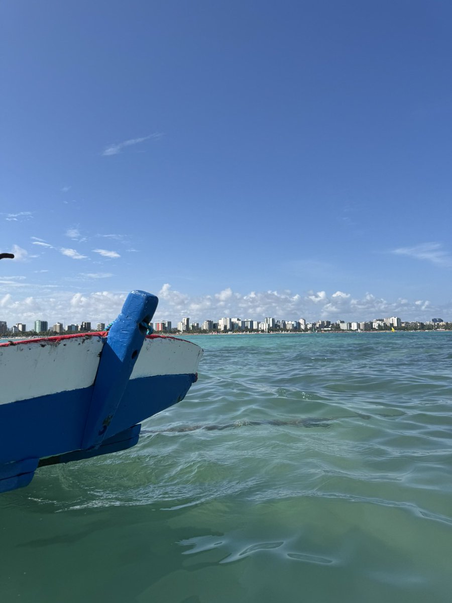 lixaodamadu's tweet photo. eu sou completamente apaixonada pelo mar de maceió https://t.co/AC8ECHdxNr