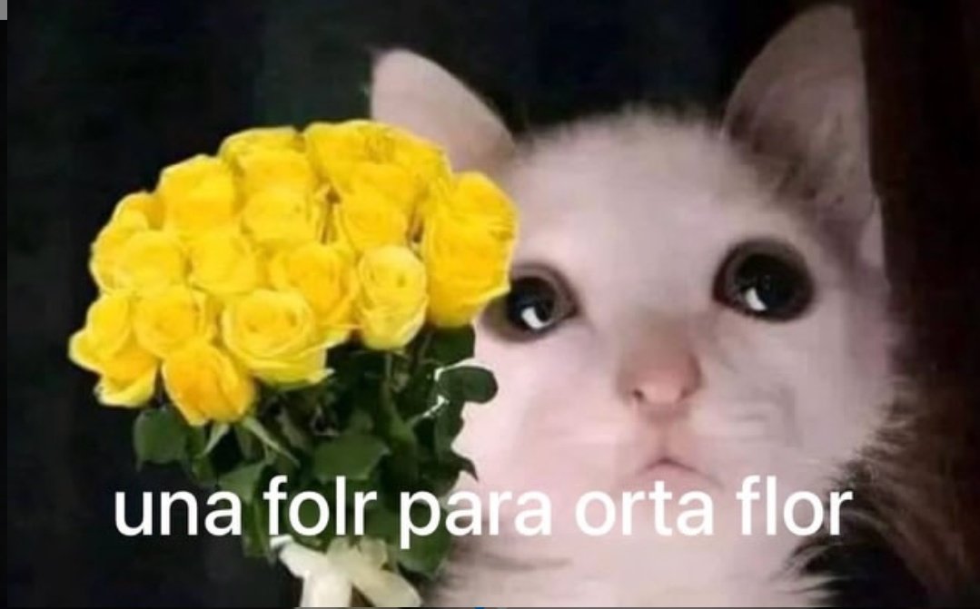MaskuART's tweet photo. Sé que es tarde pero... https://t.co/otvyxg0VpD