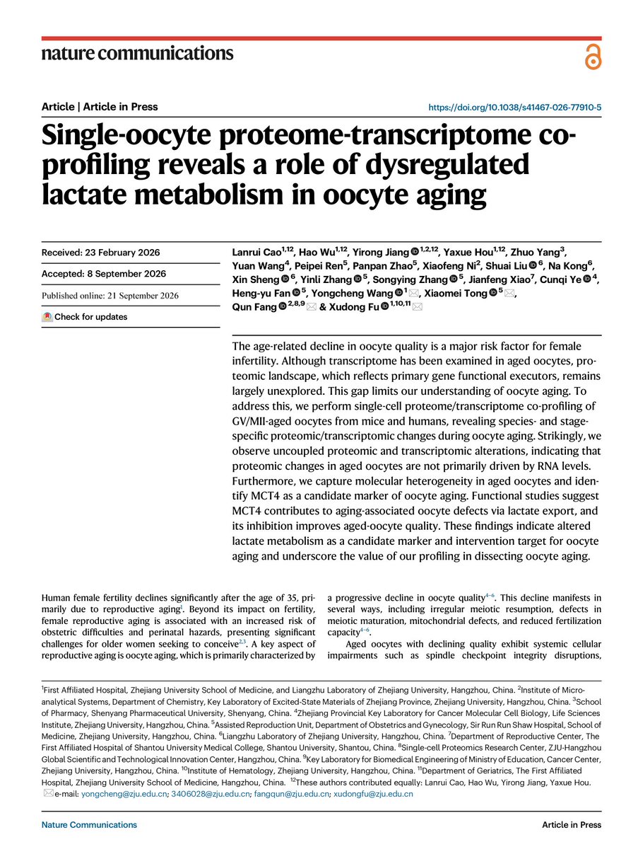 biogerontology's tweet photo. Oocyte aging finally gets a single-cell proteome+transcriptome map.

Cao, Wu, Jiang, Hou et al. (Zhejiang, Xudong Fu lab) built a single-oocyte co-profiling pipeline (proteins + mRNA from the SAME oocyte), then compared young vs aged mouse GV and MII oocytes in Nature Communications (Sep 21, 2026).

The clean finding: proteome and transcriptome disagree. Post-transcriptional regulation and protein turnover dominate what actually changes as oocytes age. Bulk RNA-seq misses most of it.

Their strongest hit: dysregulated lactate metabolism. MCT4 (SLC16A3, the lactate exporter) is one of the top-ranked age-associated proteins. That pins metabolism, not just DNA damage or spindle defects, as an intrinsic driver of the aging oocyte.

Why this matters for our field: our work on aging biomarkers (Moqri et al., Cell 2023 and Nat Med 2024) has argued that protein-level readouts are underused vs methylation and transcriptomic clocks. Oocytes are the extreme case, long-lived, post-mitotic single cells where post-transcriptional biology has to carry the signal. This is a proof of principle.

Also worth flagging: aging oocytes look nothing like early-life oocytes at the protein level even when the transcriptome looks similar. We need protein clocks for reproductive aging, not just RNA clocks.

Paper (open access): https://t.co/9KilhyDZKW

#aging #longevity #reproductivehealth