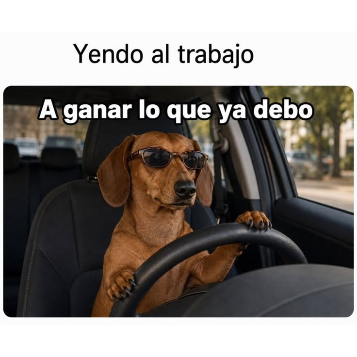 cheemstercero's tweet photo. https://t.co/ugQgKv1HeK