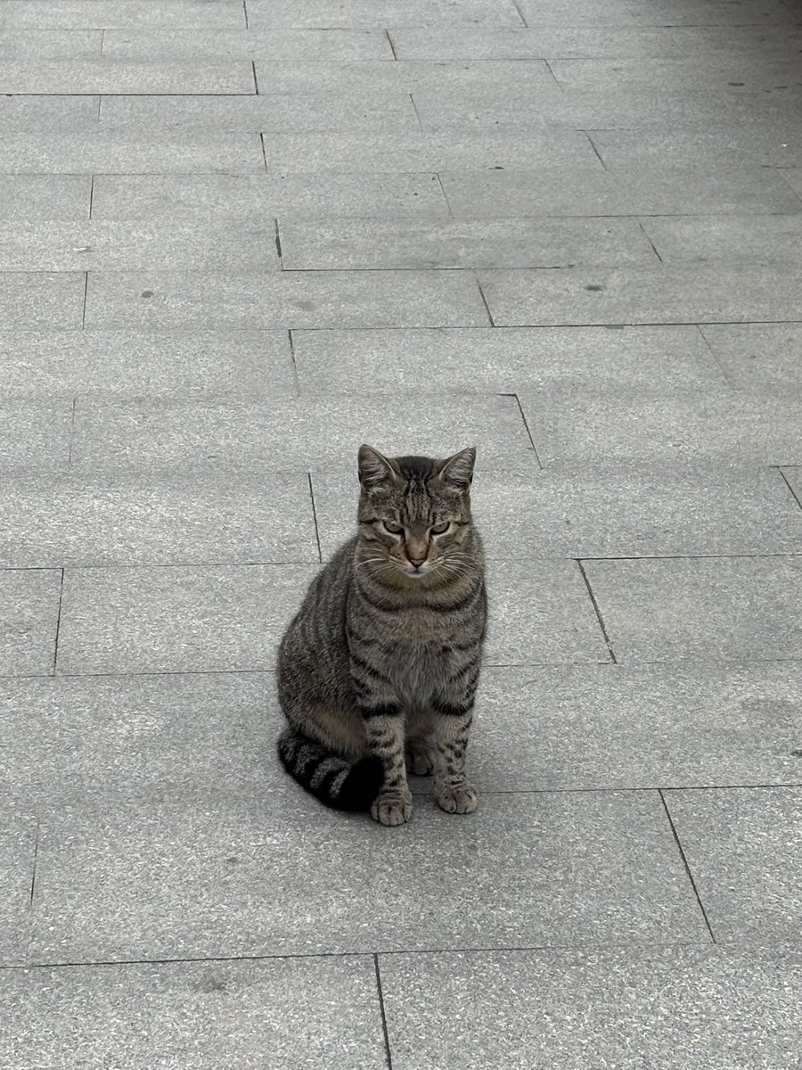 deerenogli's tweet photo. https://t.co/B13KpppqbD