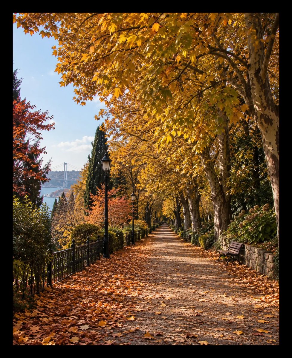 KODAKPIXPRO's tweet photo. Hello, fall 🍂 Capture the season 🍁
.
.
.
.
1️⃣ 📸 @fjn92 • KODAK PIXPRO FZ55
2️⃣ 📸 @lumiere_fields & @mertcan.abbasoglu • KODAK PIXPRO AZ528
3️⃣ 📸 @lumiere_fields & @mertcan.abbasoglu • KODAK PIXPRO AZ528
4️⃣ 📸 @stardust7th • KODAK PIXPRO C1
#KODAKPIXPRO #Photography https://t.co/2fPAWwqgMG