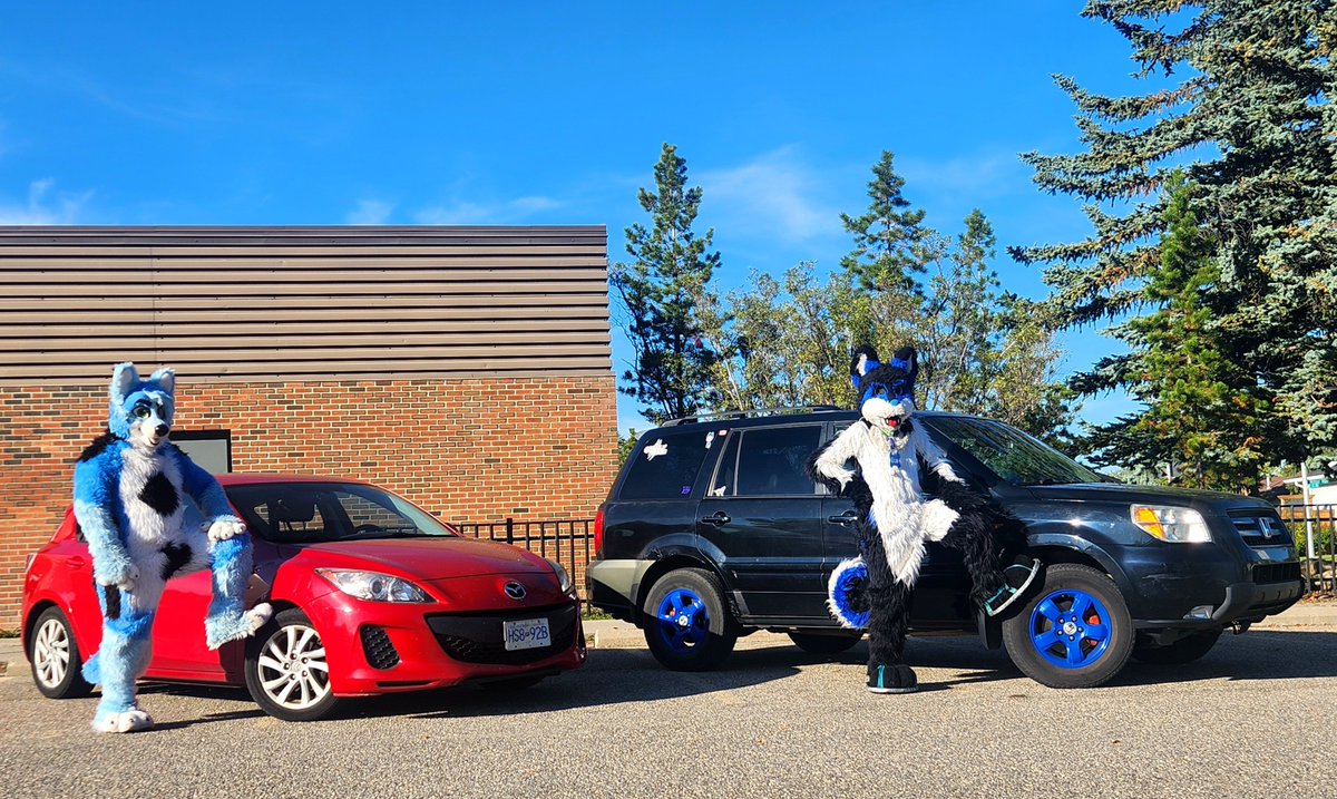 AuroraWusky69's tweet photo. Last weekend my partner and I we're getting pictures with our cars when a older man pulled up in his Jeep and then started to aggressively bark at both of us and not say anything else before driving away 

Have any of you ever had interactions like this in fursuit? https://t.co/7Xr9DahDj8