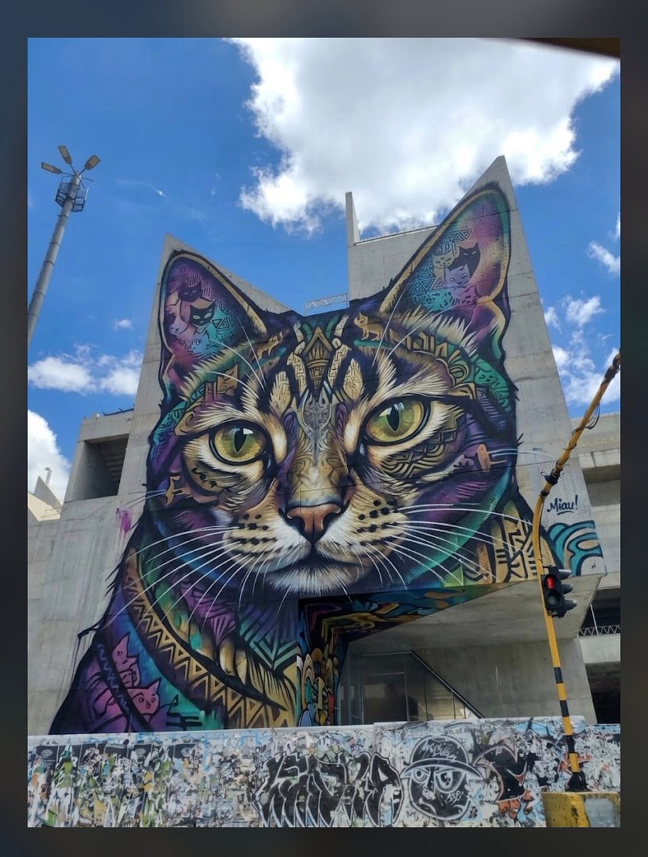 arttesano's tweet photo. Miau.... https://t.co/fNcZQjHLMZ