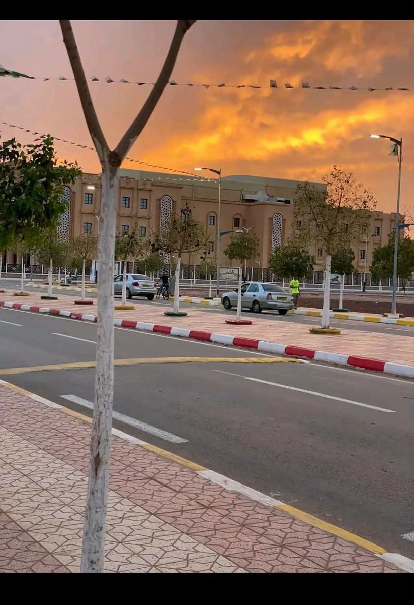 hmdlbbc's tweet photo. النعامة، الجزائر 🇩🇿 https://t.co/B655Svj2Lr