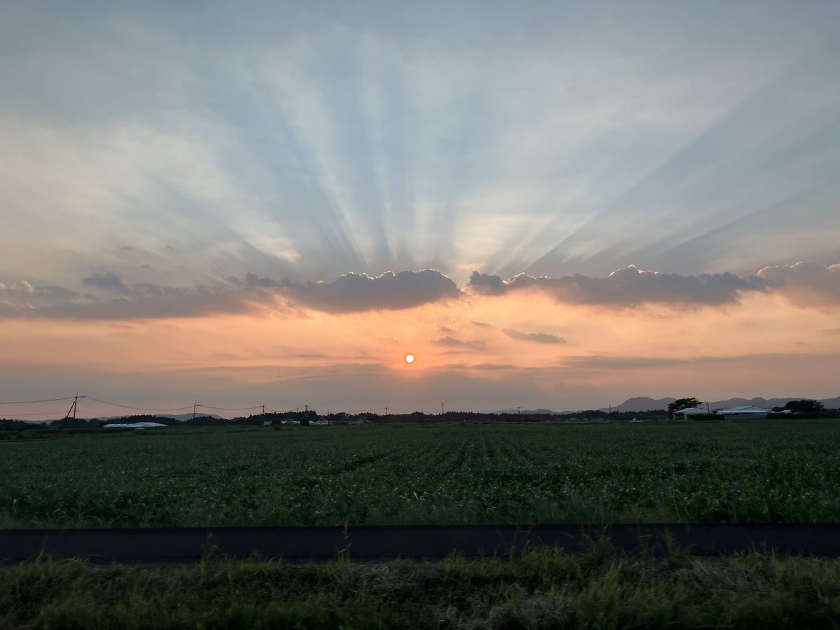 klarinkiku's tweet photo. からの道中で見た吾平山陵近くでの夕焼け。
見た瞬間、みんなが
天孫　帰ってるところだ！となる夕焼け。

吾平山陵、神話と現世の繋がりを感じるとても素敵なところだったんだよね〜。 https://t.co/iLltarD42n