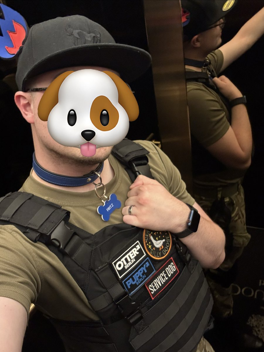 FritzDotDog's tweet photo. Woof 😏 https://t.co/L4el1yNh0S
