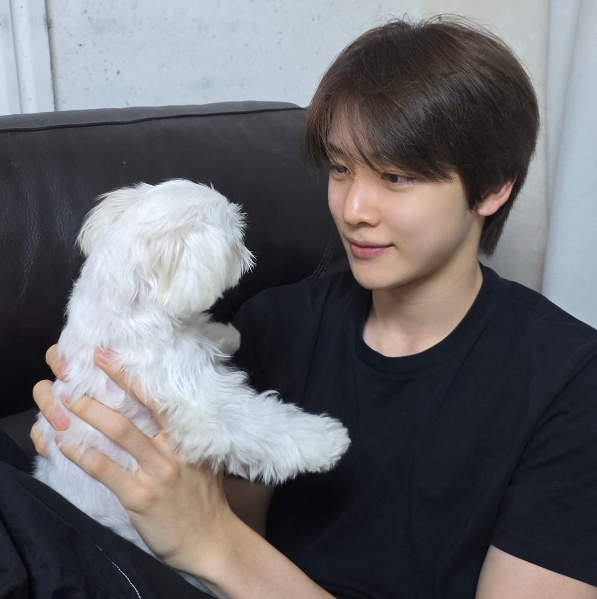dump1ing4es's tweet photo. 하  찰리랑겨울이 다리길이차이보실분  ㅠㅠ뿜
합동산책브이로그 오며는  엄청조켄네♡ ♡ ♡ https://t.co/tIwYWzeylP