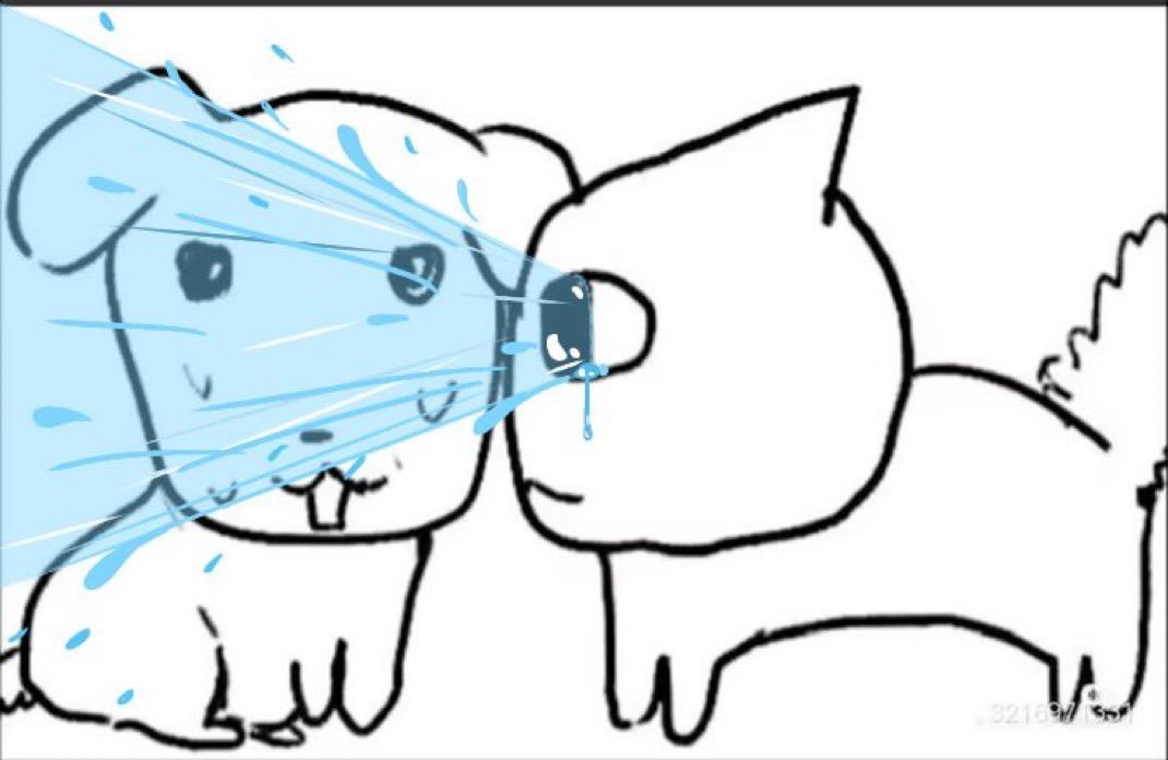 juneaquabug's tweet photo. @Iloveseagulls1 @dempstrr https://t.co/vlsYbuzr9t