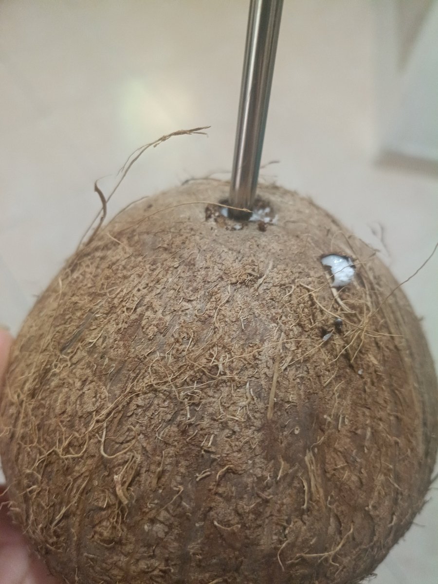 efernandezospi2's tweet photo. Aquí con mi cocoloco😎 https://t.co/Hn55ZWFQua