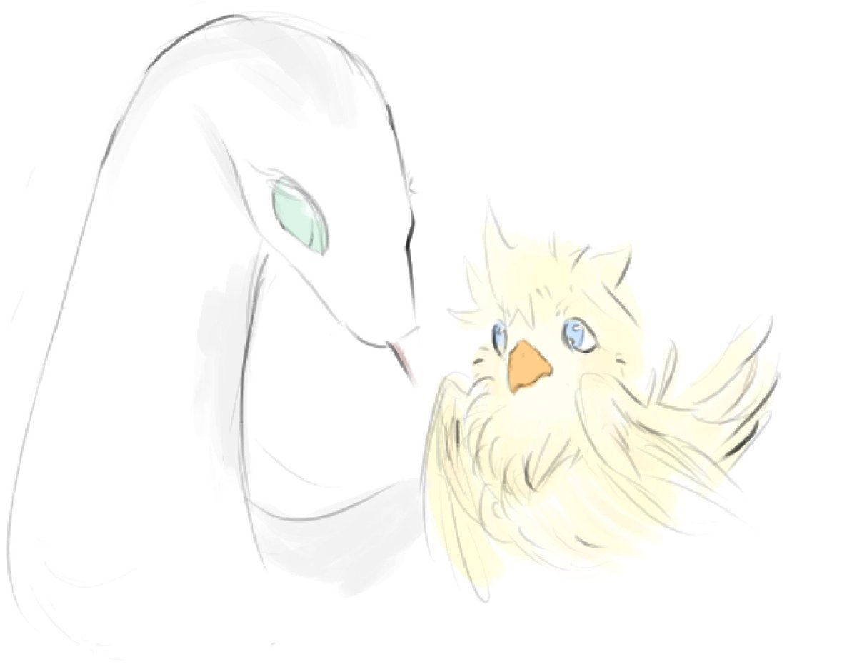 tyukkui7's tweet photo. 🐍🐤 https://t.co/zmIl0idrmw