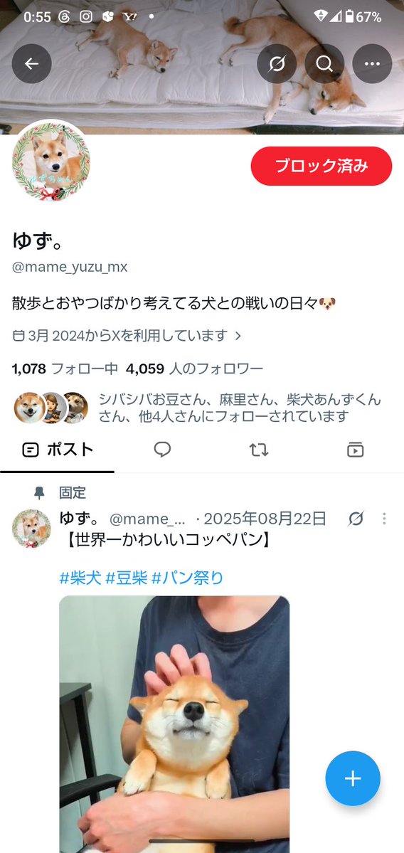 gontaroukun2's tweet photo. 残念ですが、このアカウントの「ゆず」
さんは乗っ取られています。おそらくフォロワーさんにも詐欺のDM送っていると思います。ゆずさんのフォロー外すかブロックされる事をお勧めします。柴犬の皮を被った詐欺師です。
#X詐欺
#ゆず https://t.co/dJlbfk2l3g