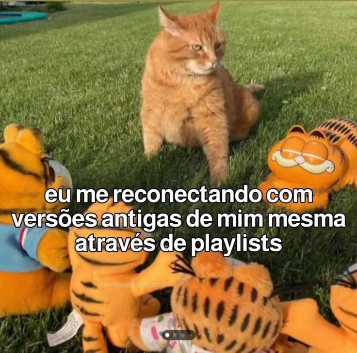 acervobichinho's tweet photo. https://t.co/N4bKzjbPqD