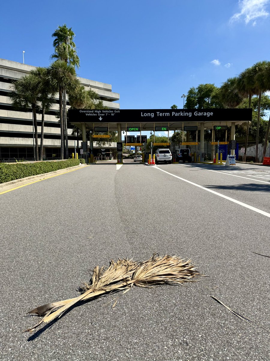 FlyTPA's tweet photo. Fall in Florida is just so magical 😍😍😍 https://t.co/gmdrXdQkGk