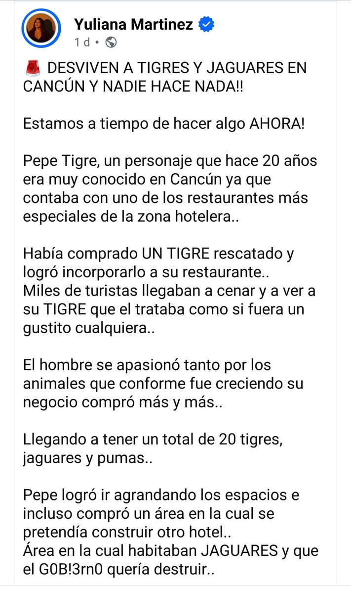LicAnimalista's tweet photo. Atención @PROFEPA_Mx ¿Qué está pasando aquí? Están dejando morir de hambre a grandes felinos. No se debe permitir que la mafia de los desarrollos inmobiliarios turísticos destruyan el ecosistema y el santuario de estos animales. Ojalá desde @GobiernoMX se pueda hacer algo. https://t.co/yAuQ23Y12o